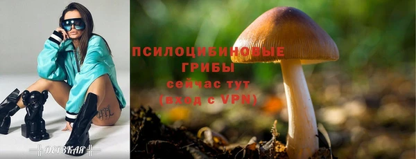 МДМА Армянск