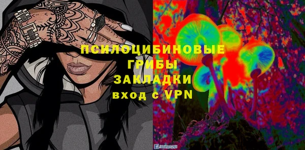дживик Аркадак