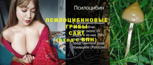 дживик Аркадак