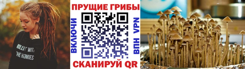 Псилоцибиновые грибы ЛСД  Георгиевск 